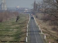 Imagine atasata: Bega - 2015.01.17 - 174.jpg